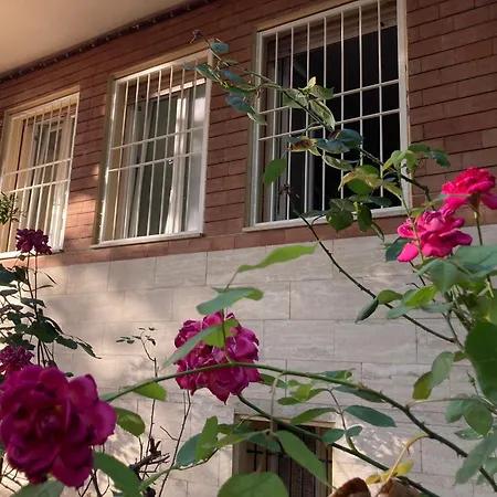 Lägenhet Ai Piedi Del Colle *